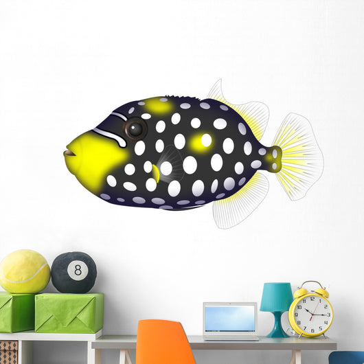 Clown Triggerfishes
