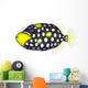Clown Triggerfishes