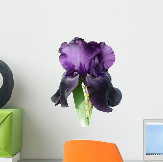 Iris Wall Decal