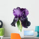 Iris Wall Decal