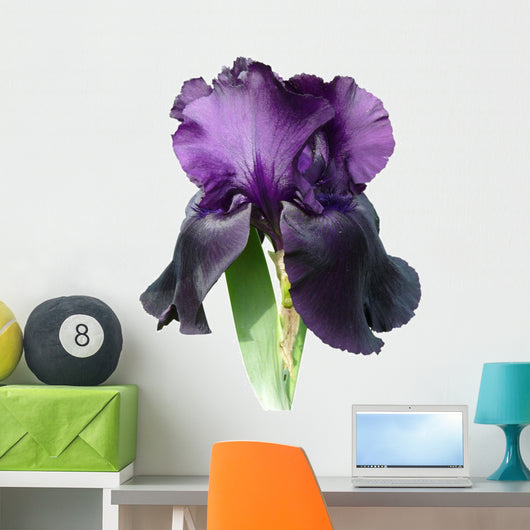 Iris Wall Decal