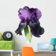 Iris Wall Decal