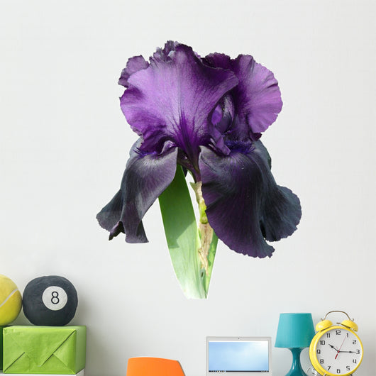 Iris Wall Decal