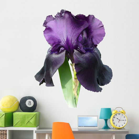 Iris Wall Decal