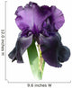 Iris Wall Decal
