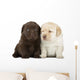 Labrador Retriever Puppies Wall Decal