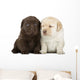 Labrador Retriever Puppies Wall Decal