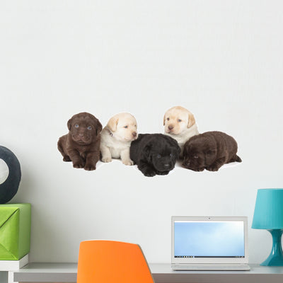 Labrador Retriever Puppies Wall Decal shown on a wall