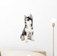 Siberian Husky Puppy Wall Decal