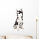 Siberian Husky Puppy Wall Decal