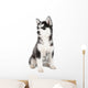 Siberian Husky Puppy Wall Decal