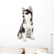 Siberian Husky Puppy Wall Decal