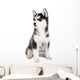 Siberian Husky Puppy Wall Decal