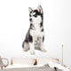 Siberian Husky Puppy Wall Decal