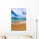 Figueral Beach Ibiza