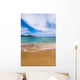 Figueral Beach Ibiza