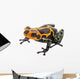 Poison Dart Frog