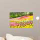 Bed of Tulips in a Garden Wall Mural
