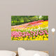 Bed of Tulips in a Garden Wall Mural
