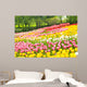 Bed of Tulips in a Garden Wall Mural
