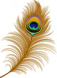 Peacock Feather Wall Decal
