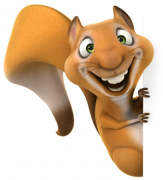 Fun Squirrel