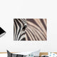 Zebra 3