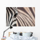 Zebra 3