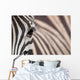 Zebra 3