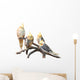 Group Cockatiels White Wall Mural