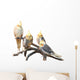 Group Cockatiels White Wall Mural