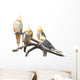 Group Cockatiels White Wall Mural