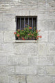 Window with Flowers