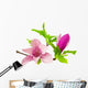 Magnolia Wall Decal