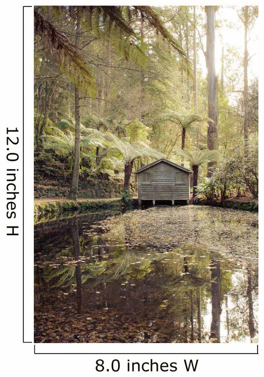 Boathouse Serenity