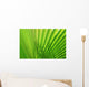 Palm Leaf