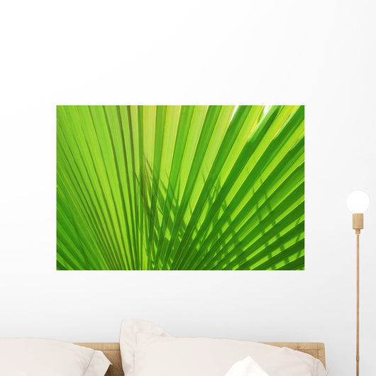 Palm Leaf