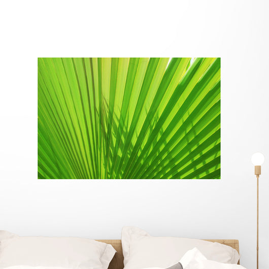 Palm Leaf