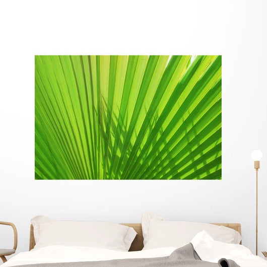 Palm Leaf