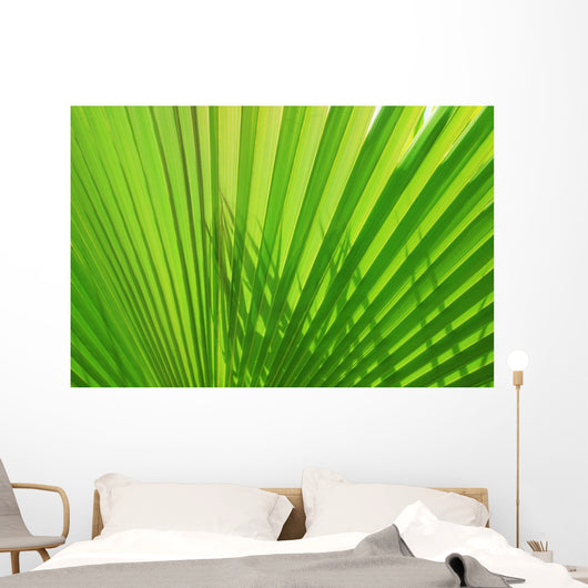 Palm Leaf