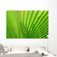 Palm Leaf