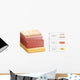 Layers Human Skin Cross