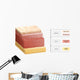 Layers Human Skin Cross