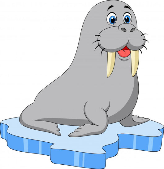 Cute walrus on ice Wall Decal