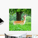 Young Fallow Deer Wall Mural
