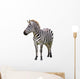 Zebra White