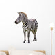 Zebra White