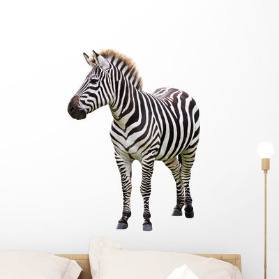 Zebra White shown on a wall