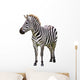 Zebra White