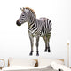 Zebra White